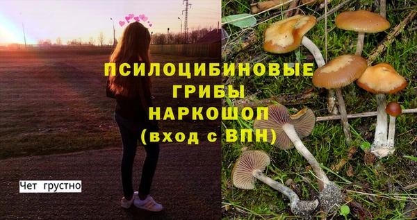 дмт Абинск