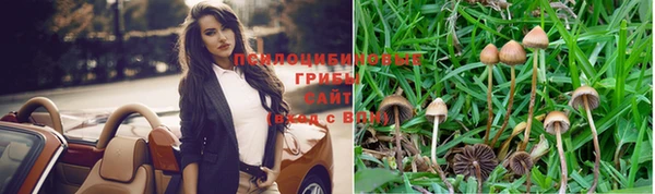 дмт Абинск
